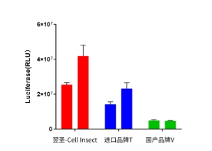 昆蟲細胞轉染利器，高效兼容桿狀病毒與質粒DNA！