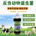 牛用益生菌價(jià)格肉牛育肥用益生菌廠家